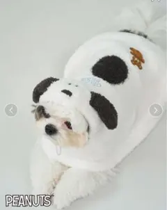 Item thumbnail for item e6795916-0fae-4b59-9cf0-6a71983b643e