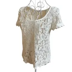 【総レース】 レーストップス プルオーバー 半袖 ホワイト系 レディース