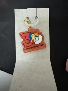 ポケモン Poke-Charm ポケチャーム30周年ロゴマスコット ヒノアラシ