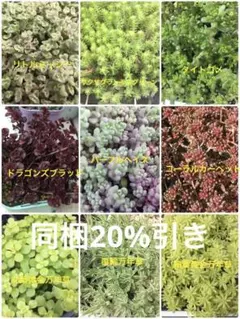 やまちゃん様 リクエスト 4点 まとめ商品