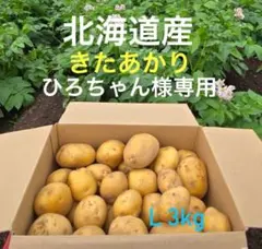 ひろちゃん様専用 北海道産 きたあかり（Lサイズのみ！）3kg