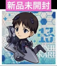 【未開封】エヴァンゲリヲン新劇場版碇シンジ EVA3-09【SR】