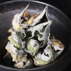 2025年最新】オアハカ 現地球の人気アイテム - メルカリ