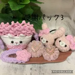 フォロワー様限定　感謝パック3 (600円)