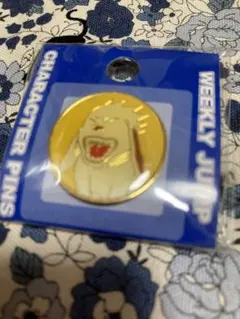 NARUTO 赤丸 ピンズ 匿名配送 レア