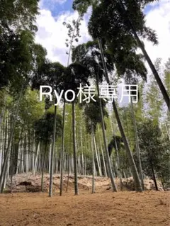 Ryo様専用ページ