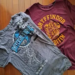 Item thumbnail for item bd93a021-fb56-4023-97f8-cac79cccc24f