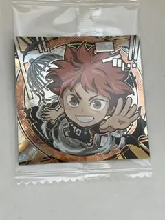 劇場版ハイキュー!! ゴミ捨て場の決戦 シールウエハース 排球レア・極 日向翔陽