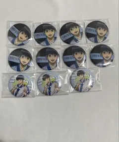 銀魂 新八 缶バッジ 11個セット