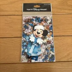 新品♡ ディズニー　イマジニングザマジック　実写　ポストカード　ミニー