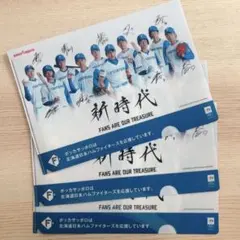 北海道日本ハムファイターズ 松本剛　クリアファイルのサムネイル