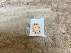 RIIZE 東京ドーム　ランダムトイ　マグネットアクリルチャーム　ソンチャン