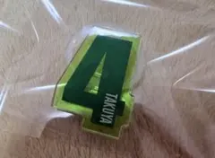 超特急　タクヤ　ペンライトアクセサリー