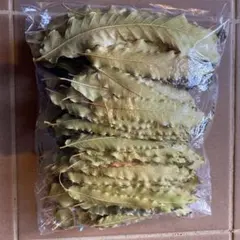 Item thumbnail for item e5754eb6-eb8e-4bf5-ab06-c4b960771071