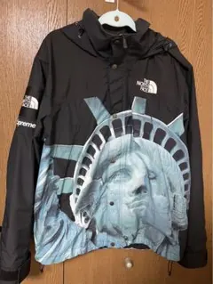 Supreme/The North Face 自由の女神 マウンテンパーカー