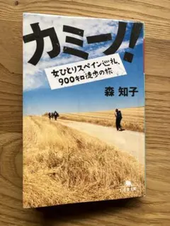 カミーノ！女ひとりスペイン巡礼