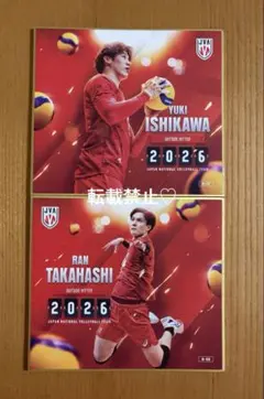 バレーボール日本代表 トレーディングmini色紙 髙橋藍 シークレット バレーボール日本代表 トレーディングmini色紙 髙橋藍 シークレット