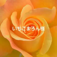 いちごまろん様 リクエスト 5点 まとめ商品