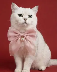 Item thumbnail for item 441aff0f-f640-4de0-99b1-7f7bd7b7e8e8