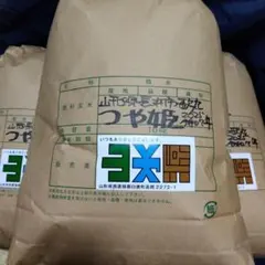 山形県長井市歌丸 塚田稲園産つや姫10キロ 玄米 - メルカリ
