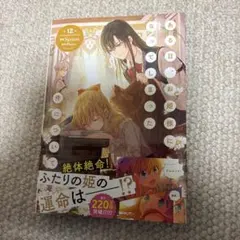 ある日、お姫様になってしまった件について12