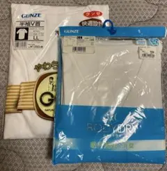 グンゼVネックTシャツ２枚セットXL