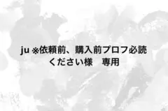 ju ※依頼前、購入前プロフ必読ください様　専用