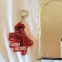 ジェイコブス晶 プレイヤーズアクリルキーホルダー 日本代表 バスケットボール