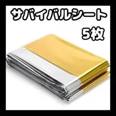 Item thumbnail for item 6d20956e-f9ad-4395-8551-ca4fdba440bd