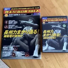 燃えろ！新日本プロレス 猪木vsアリ 伝説の異種格闘技戦 DVD2枚組
