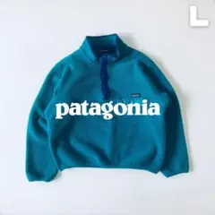 Patagonia 90s シンチラスナップT ジャマイカ製 L エメラルド