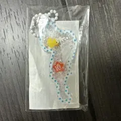 琵琶湖キーホルダー アヒル レア