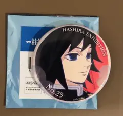 鬼滅の刃 冨岡義勇 柱展 柱百景 エモーショナル缶バッジ 25