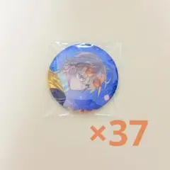 ホロスターズ AGF2024 缶バッジ　アステル・レダ ホロスターズ AGF2024 缶バッジ アステル・レダ - メルカリ
