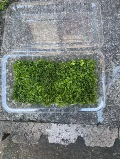 メイプル様 リクエスト 2点 まとめ商品