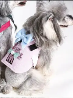 Item thumbnail for item 649fa1d5-8f9a-4514-bed6-11e7b75ee8a3