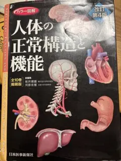 2026年最新】人体の正常構造と機能 4版の人気アイテム - メルカリ