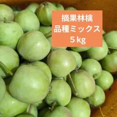 摘果りんご　加工用サンふじ林檎他ミックス　約5キロ 送料込み　56のサムネイル