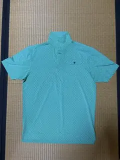 Item thumbnail for item 11d4d5a1-3f70-4dc0-97c3-b6c3c3dcf24f