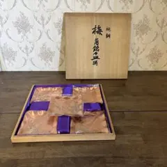 Item thumbnail for item 3fbfa116-22e3-4099-b395-fcd5555d197d