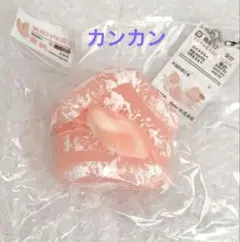 侃侃　スクイーズ　カンカン　お家　家　ホーム