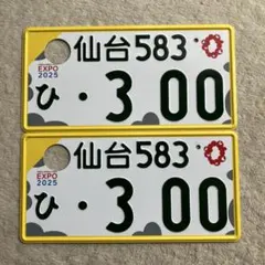 字光式ナンバー 京都ナンバー 2枚 記念所蔵 ナンバープレート - メルカリ