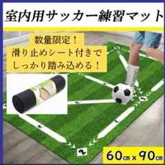 Item thumbnail for item 5ef7d27f-136c-4531-82a3-419efb34ffd9