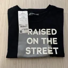 Item thumbnail for item 4e15fdad-330b-453b-984f-bd96b39067b2