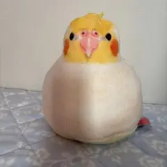 2026年最新】フェリシモ小鳥部の人気アイテム - メルカリ