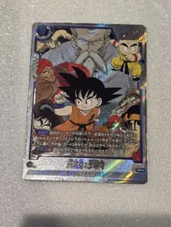 PSA10 スーパードラゴンボールヒーローズ　2枚セット　孫悟空 少年期 2025年最新】ドラゴンボールヒーローズ psa 孫悟空少年期の人気