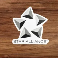 ねむい様 リクエスト 2点 まとめ商品