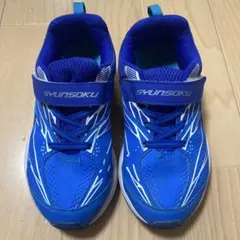 Item thumbnail for item 666592ef-8766-42d6-a188-f54d8c782284