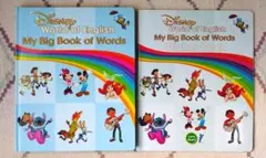 Item thumbnail for item a646d2c1-5ad7-47b7-8f5f-1e2ce5e6caee