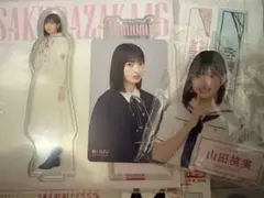 櫻坂46 山田桃実　ローソンアクリルバッジ　アクスタ　hmvクーポン